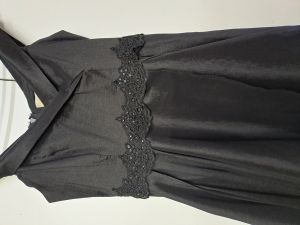 Adult Female Costumes to Hire - Lee-Ann Black Formal Dress